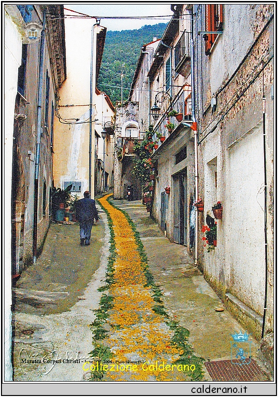 Infiorata in via Casaletto 2004.jpeg