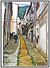 Infiorata in via Casaletto 2004.jpeg