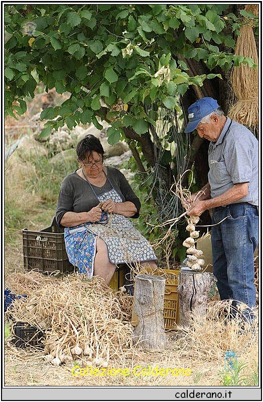 Preparazione delle 'nserte d'aglio.jpg