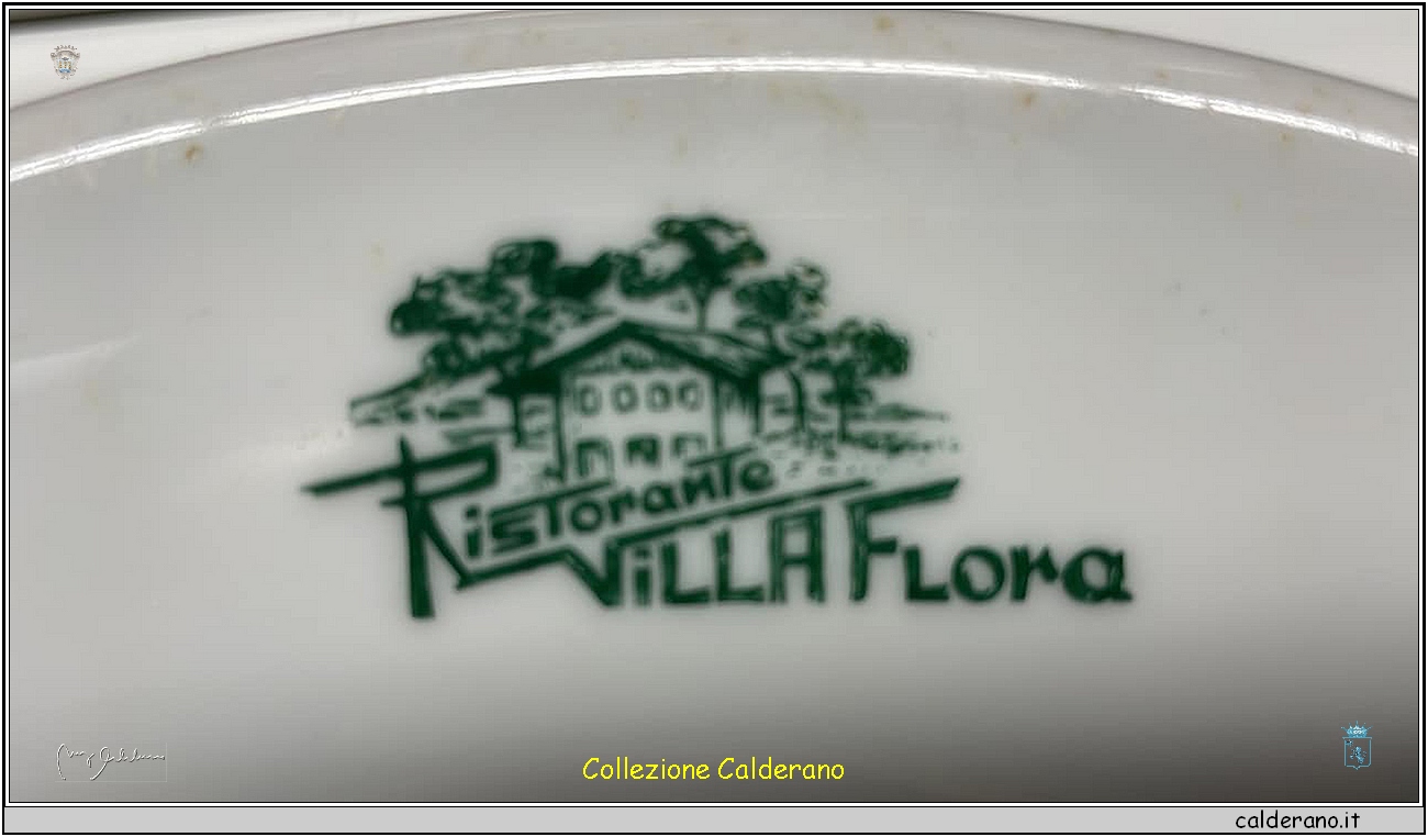 Logo di Villa Flora.jpg