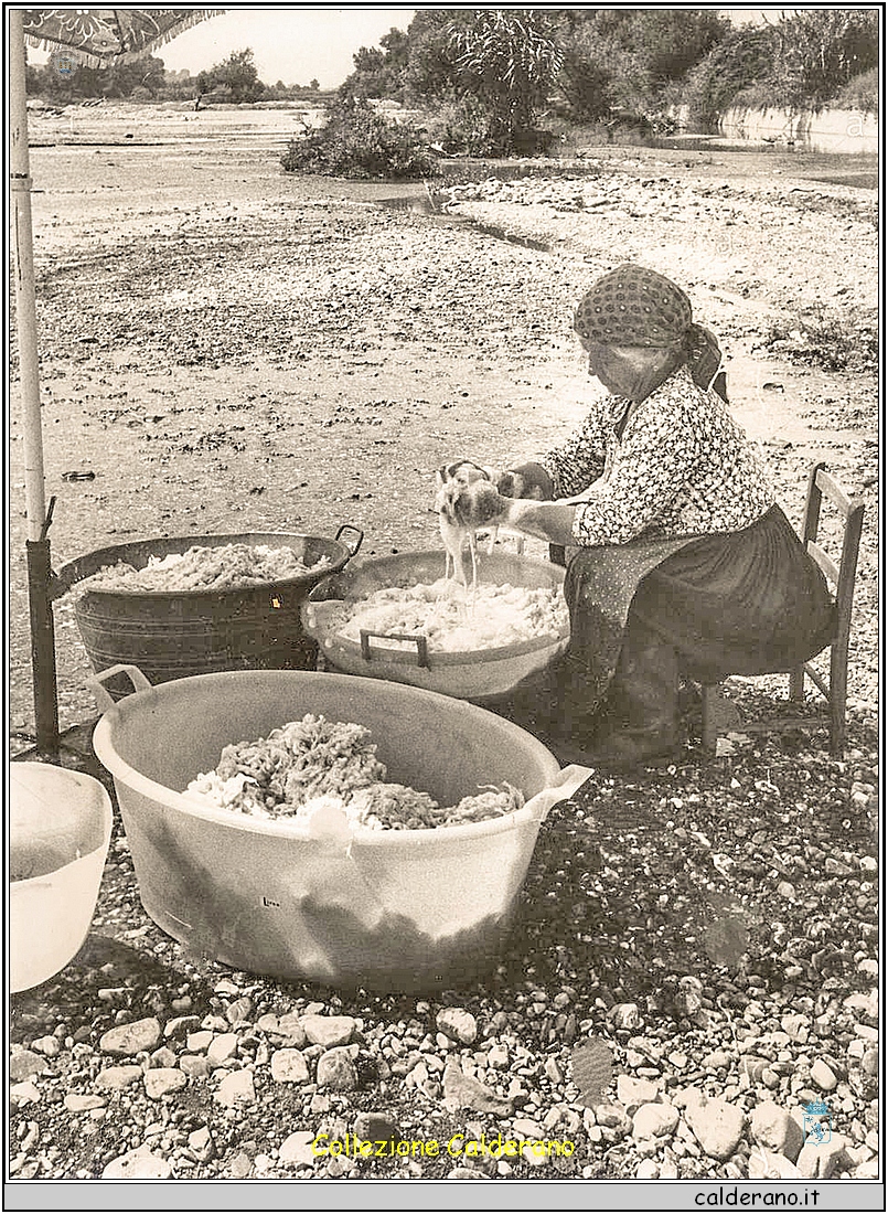 Castrocucco - Lavaggio della lana nel Fiume Noce - 1964 4.jpg