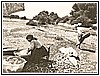 Castrocucco - Lavaggio della lana nel Fiume Noce - 1964 2.jpg