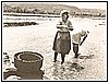 Castrocucco - Lavaggio della lana nel Fiume Noce - 1964 3.jpg