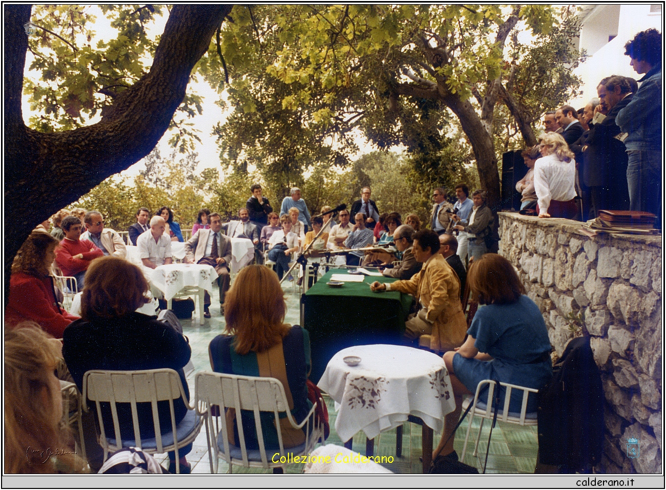 Conferenza Stampa nel Parco del Santavenere - Premio Maratea 1984 1.jpg