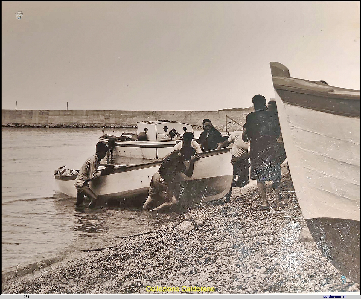 La barca tirata al secco.jpg