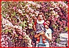 Angela Auriemma tra i fiori con la sua bambina.jpg