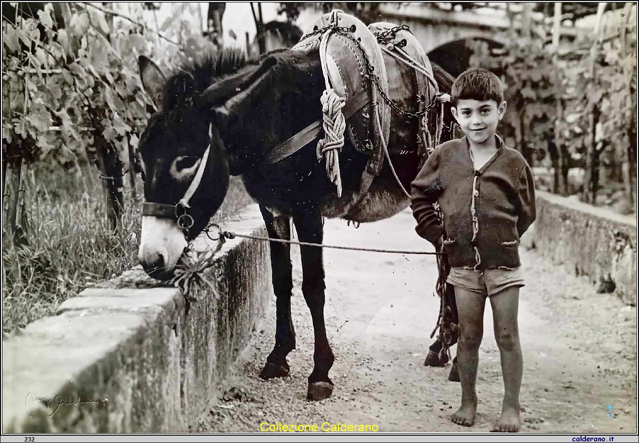 Antonio Torino a Campo Mulini con l'asino della maestra Santoro.jpg