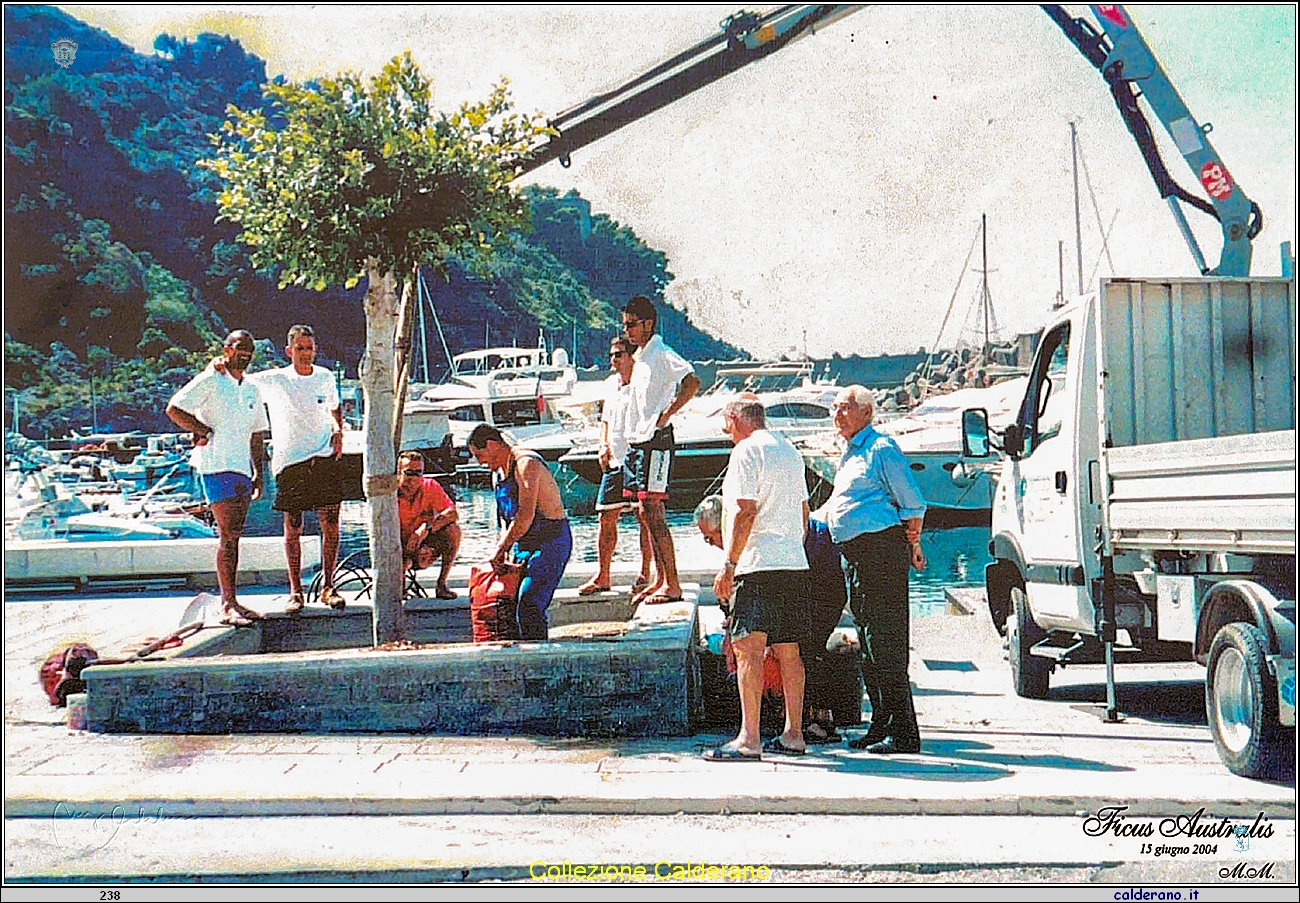 Piantagione dell'albero del Porto da Miguel Montesano.jpg