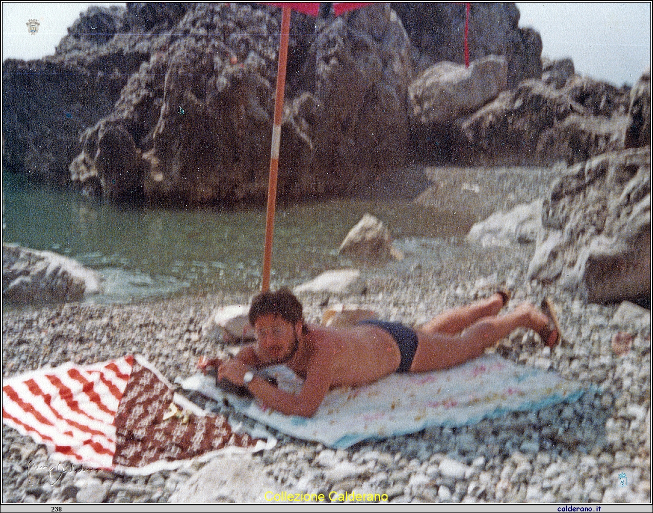 Pippo sulla spiaggia.jpg