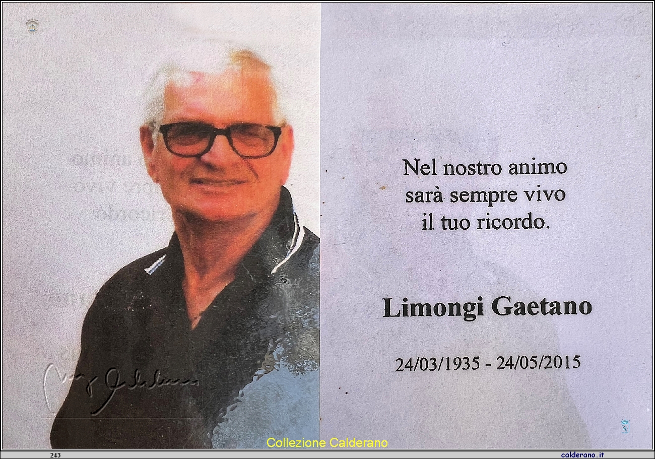 2015 Gaetano Limongi 80.jpg