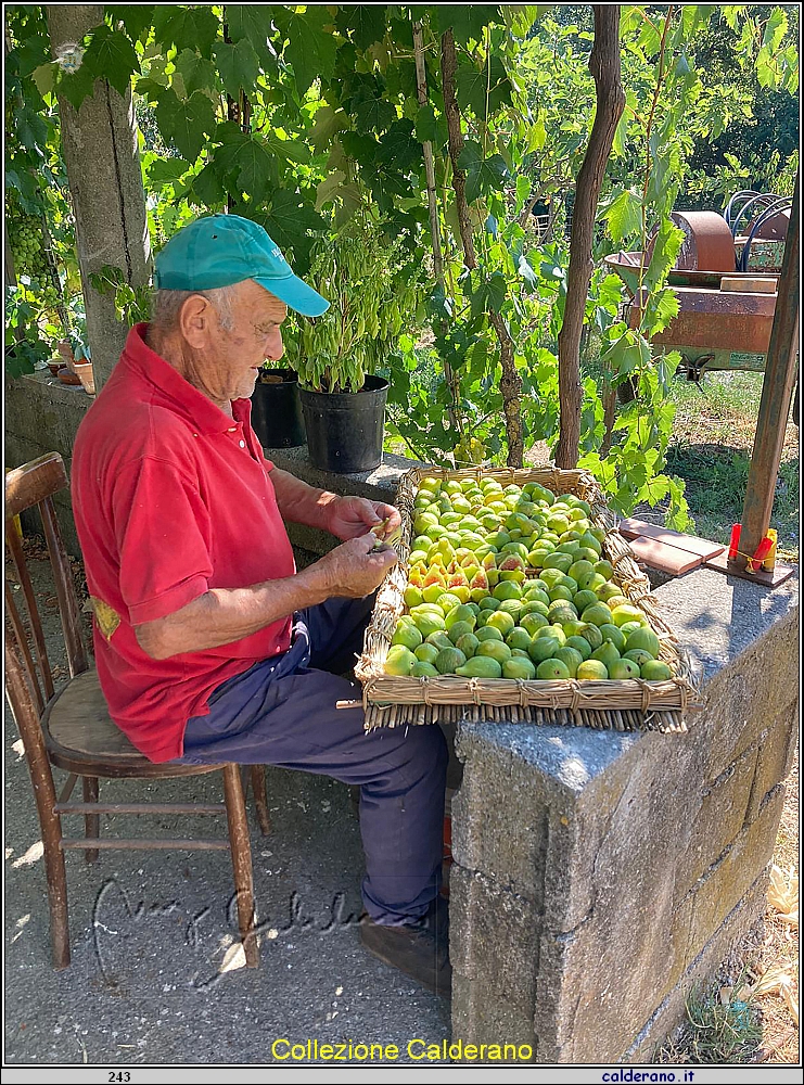 Preparazione dei fichi secchi.jpg