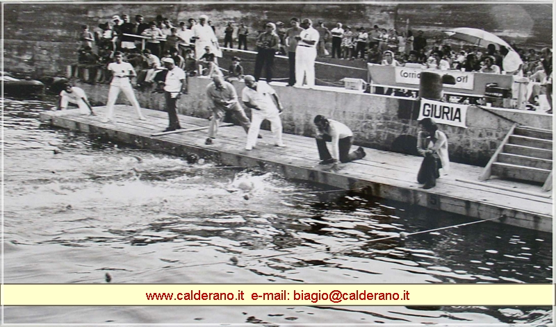 Giuria_gara_Nuoto.jpg (336 KB)